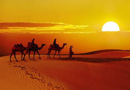 Jaisalmer Golden Fort & Thar Desert Safari